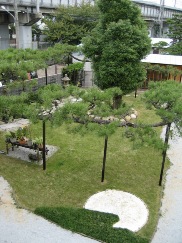 apa_0006.JPG